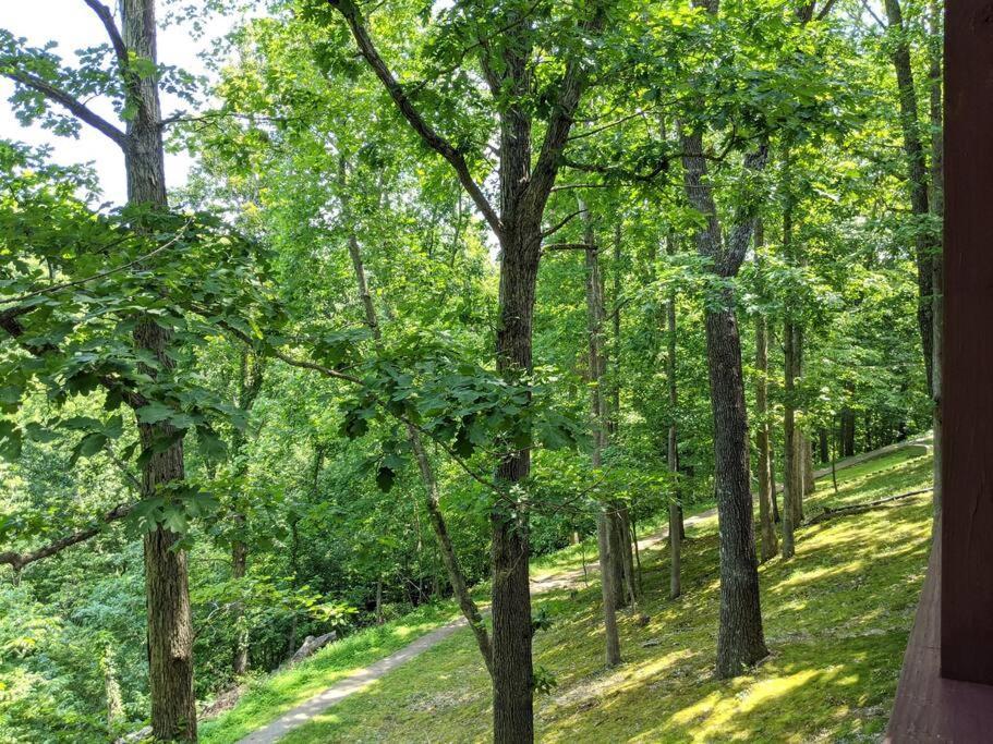 Corner Lake Getaway Διαμέρισμα Bella Vista Εξωτερικό φωτογραφία